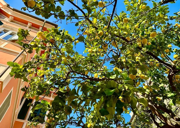 Il Giardino Degli Ulivi